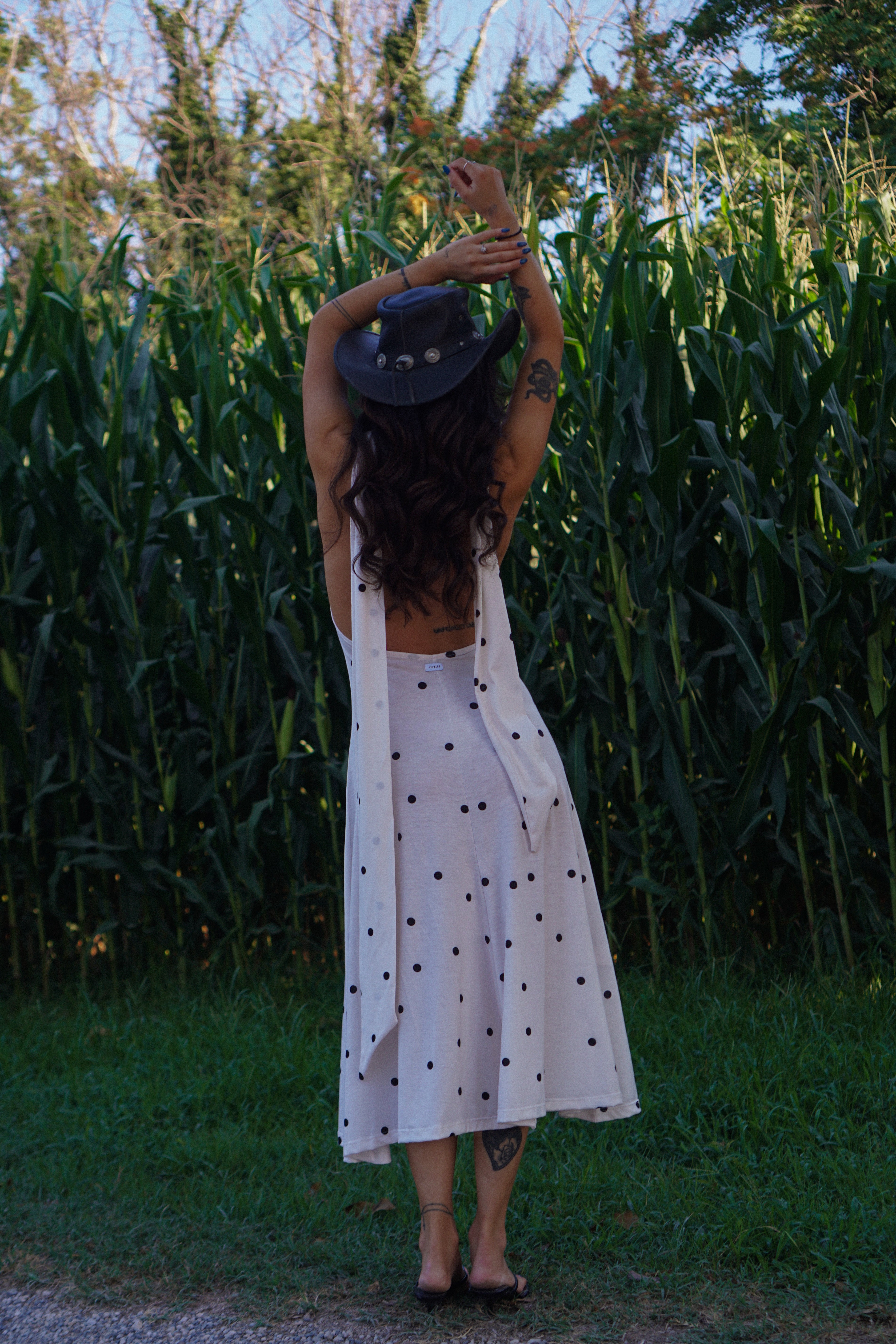 ALMA - Ivory Dots