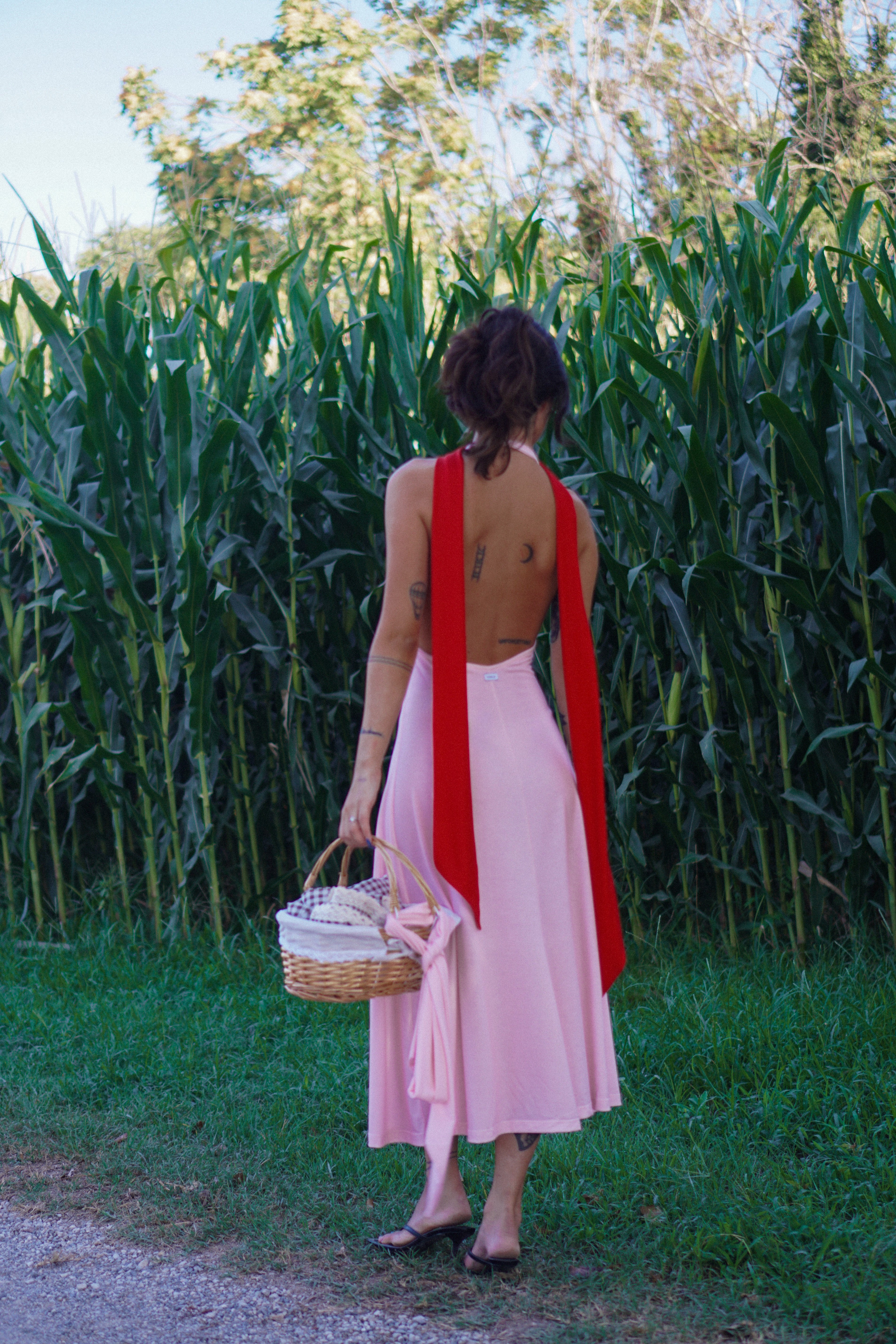 ALMA - Rosè Rouge