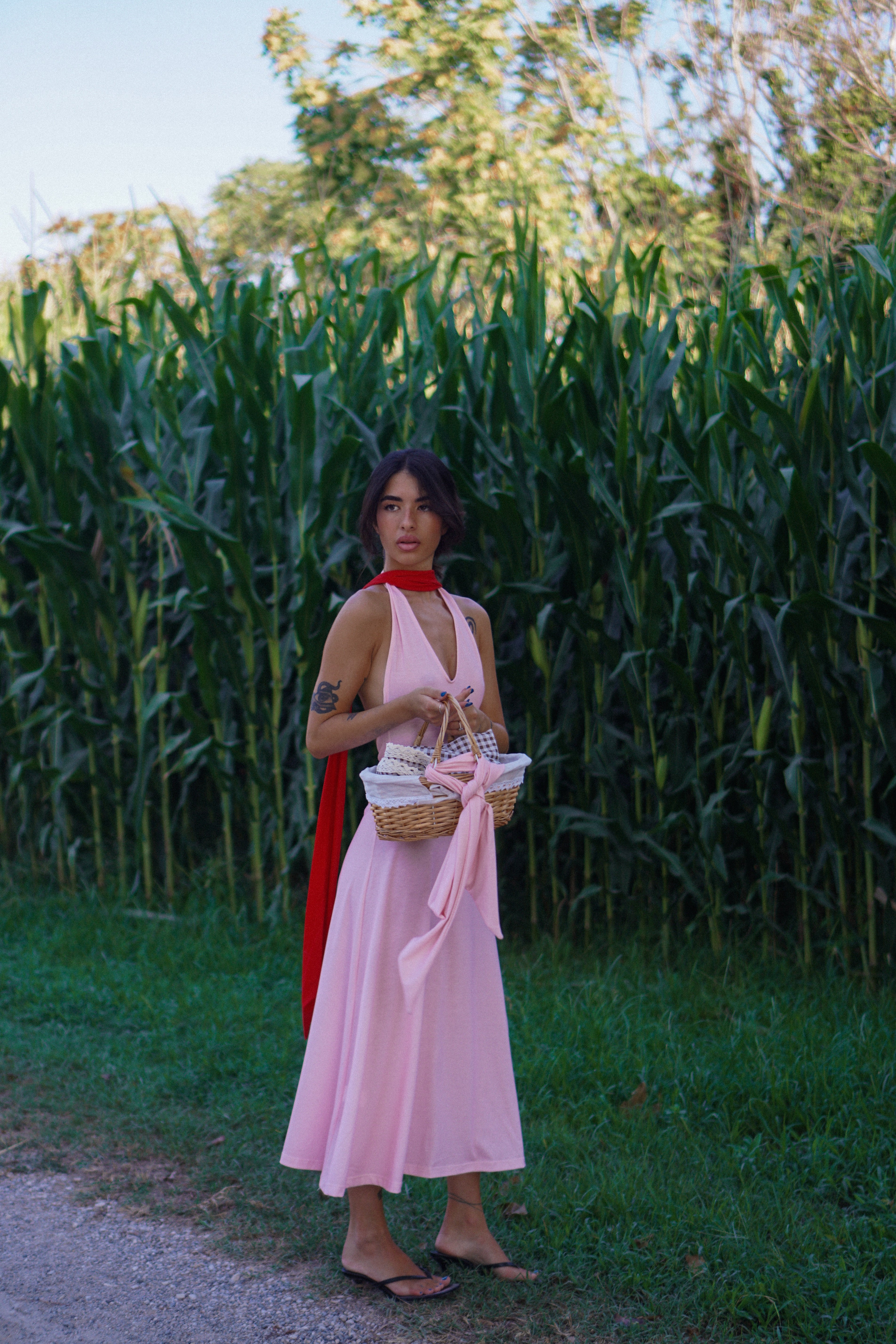 ALMA - Rosè Rouge