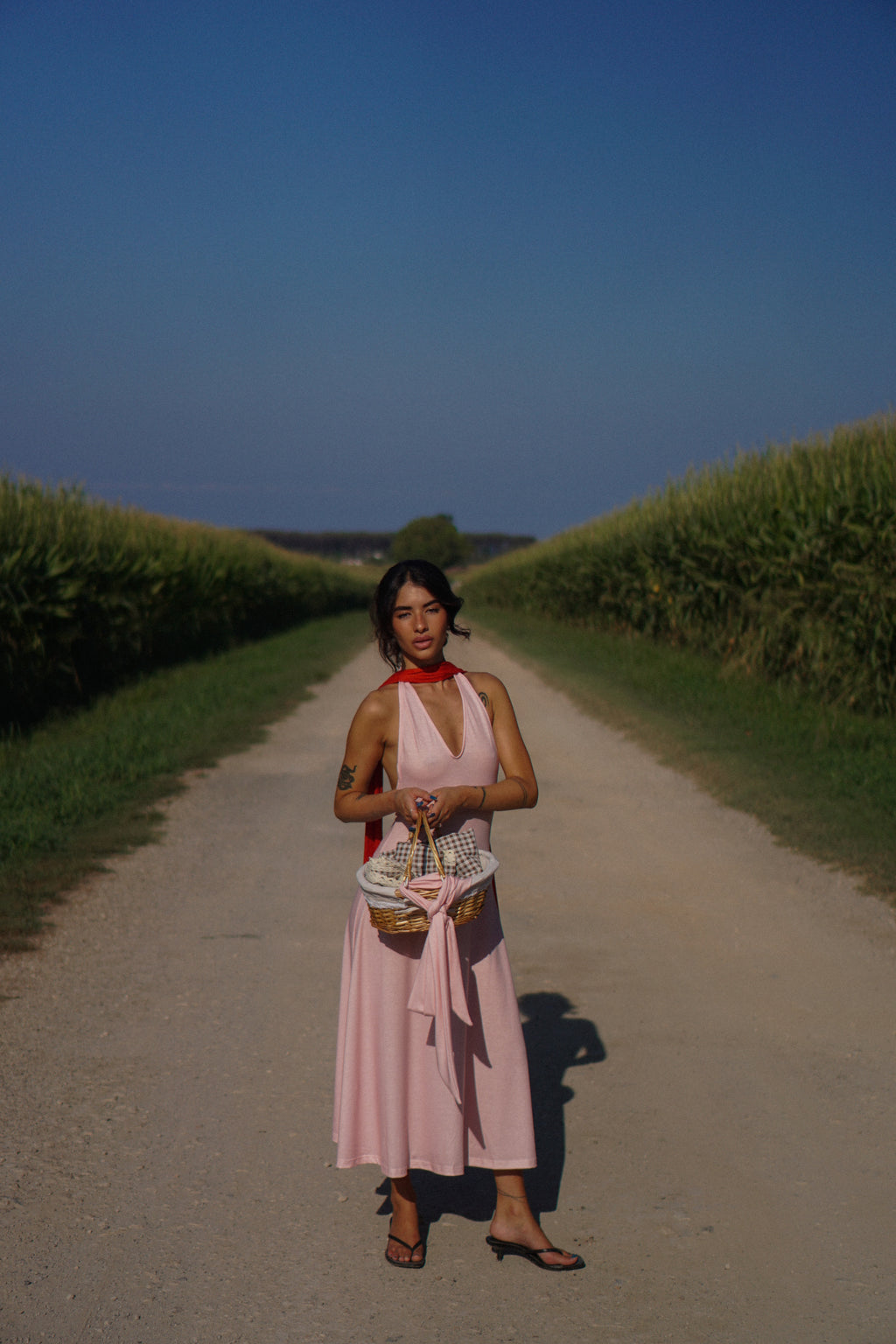ALMA - Rosè Rouge