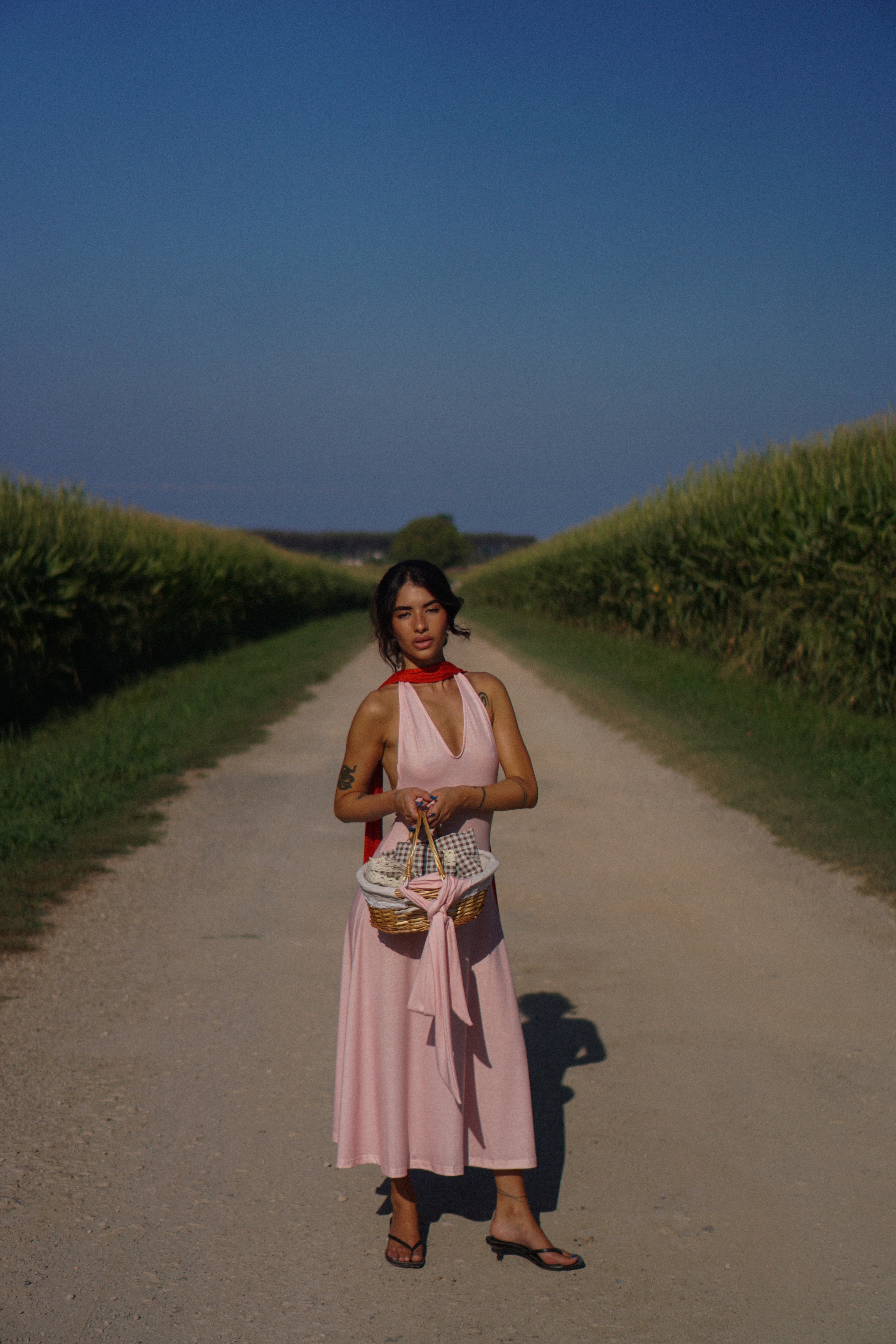 ALMA - Rosè Rouge
